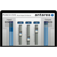 Antares Punch Evo Vocal Impact Plug-In Online Sale