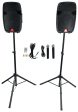 DJ Package w  (2) 12  DJ PA Speakers w Bluetooth+Facade+Lights+Mics+Headphones Online now